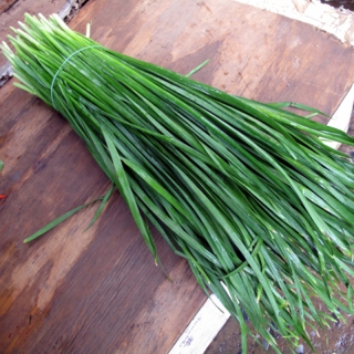 Hạt Giống Cây Hẹ - 1 Gram