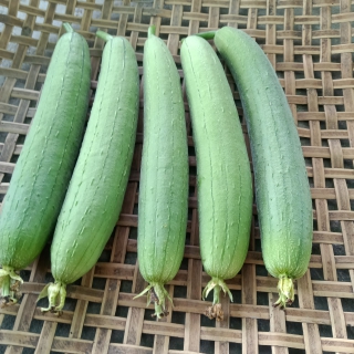 Hạt Giống Mướp Hương - 15 Hạt