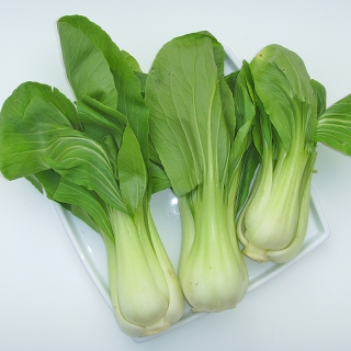 Hạt Giống Rau Cải Thìa - 10 Gram