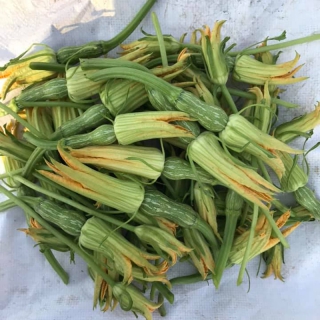 Hạt Giống Bí Nụ - 10 Hạt
