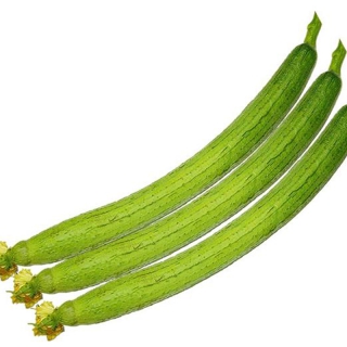 HẠT GIỐNG MƯỚP HƯƠNG SIÊU DÀI - 10 HẠT