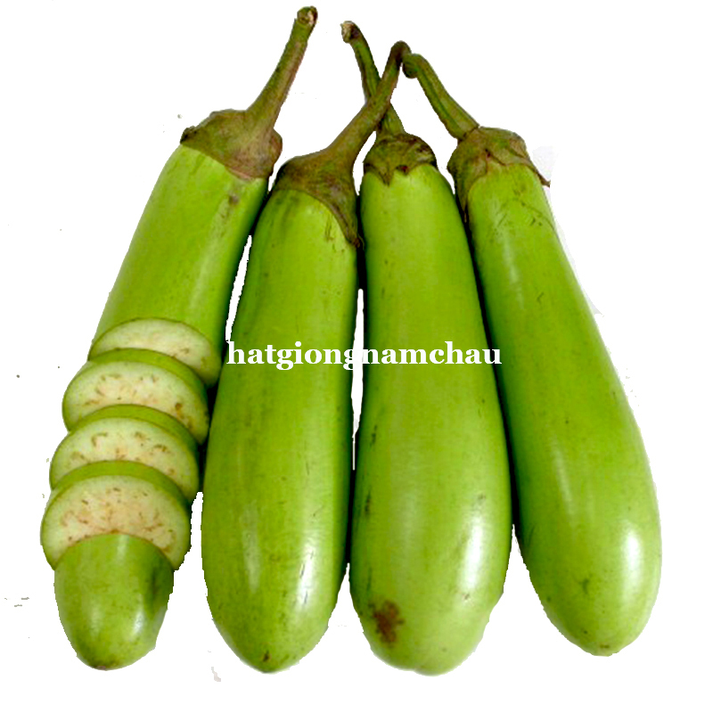 Hạt Giống Cà Xanh Mỡ - 1 Gram