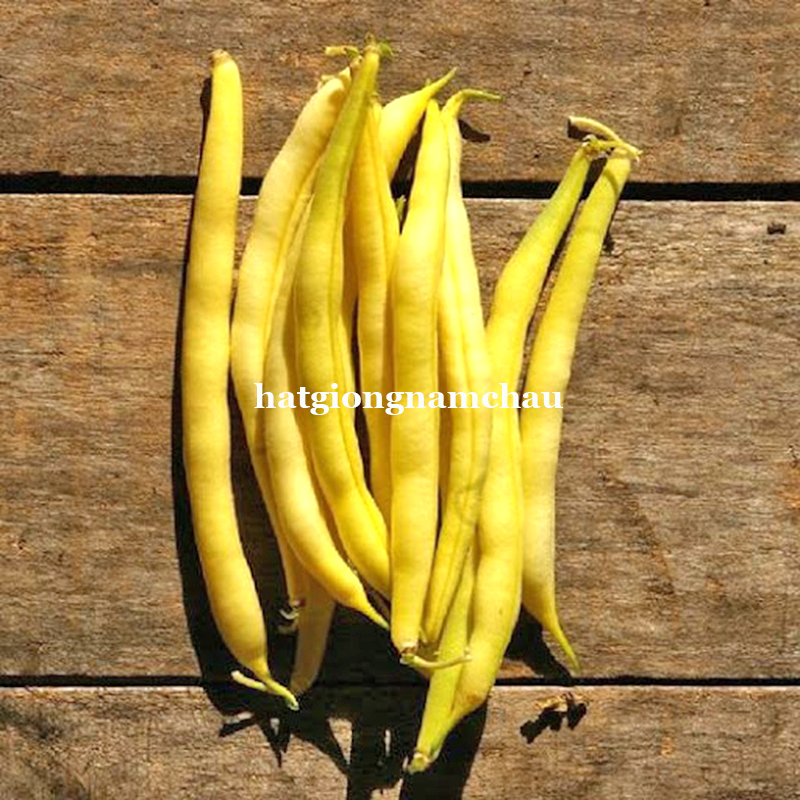 Hạt Giống Đậu Cove V&agrave;ng - 3 Gram