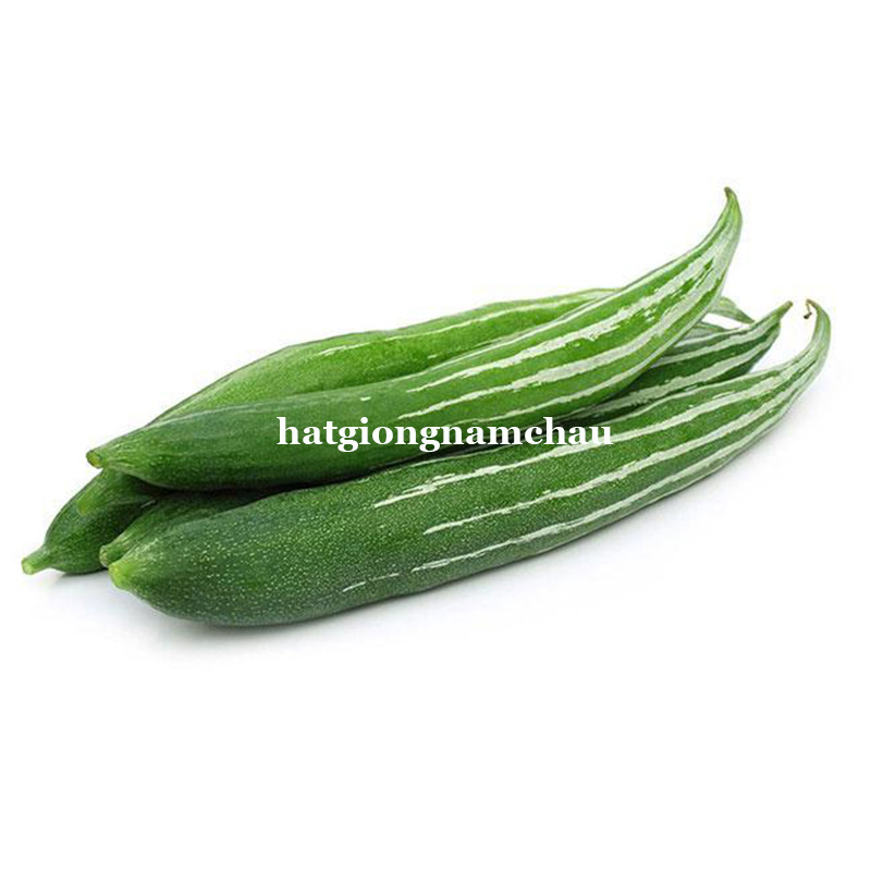 Hạt Giống Lặc Lầy( Khổ Qua Tây Xanh) - 15 Hạt