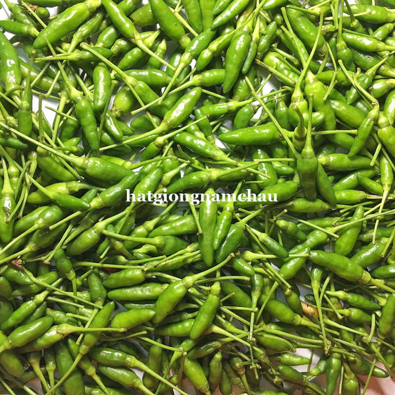 Hạt Giống Ớt Xiêm - 30 Hạt