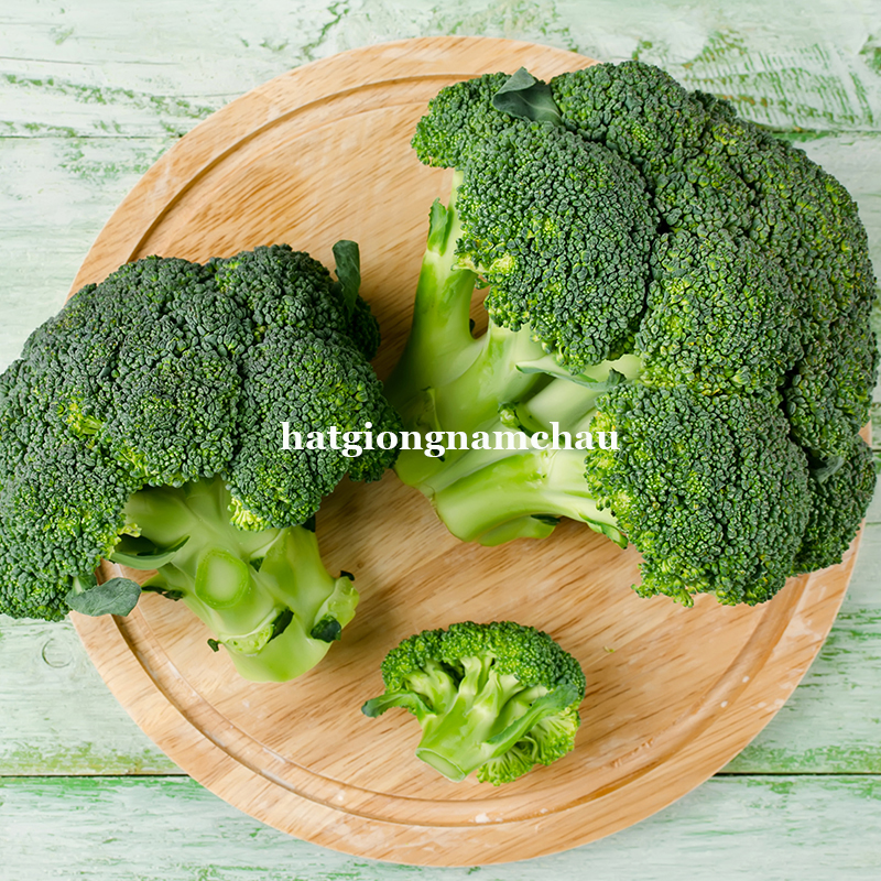 HẠT GIỐNG S&Uacute;P LƠ XANH - 0,5 GRAM